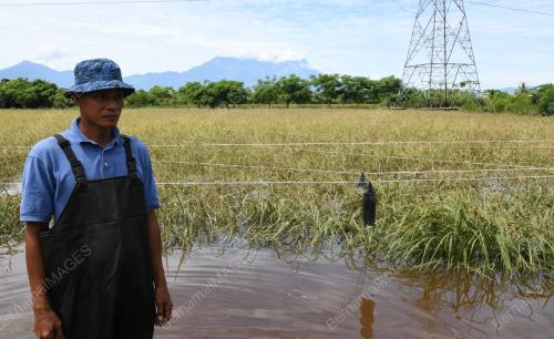 KESAN BANJIR DI KOTA BELUD