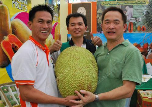 JEFFREY CHONG