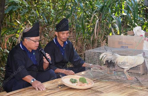MONOLOB KINABALU