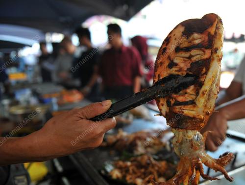 SOTONG KURITA SABAH