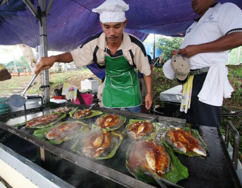 IKAN BAULU