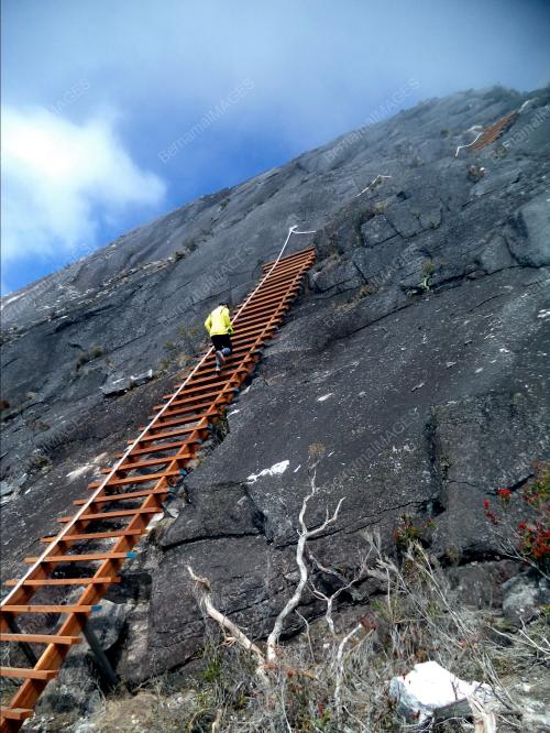 SB01_04122015_KINABALU