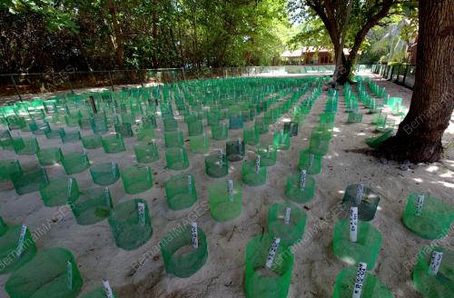 SB01_06012016_PULAU_PENYU