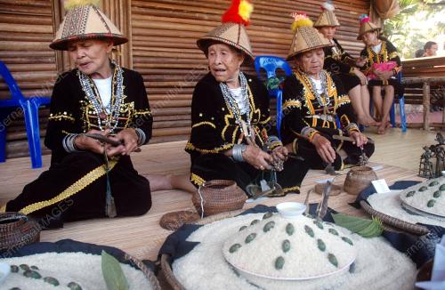 PESTA TADAU KAAMATAN 2009