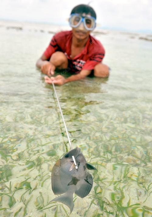 SB01_07062012_IKAN_TEMBAK