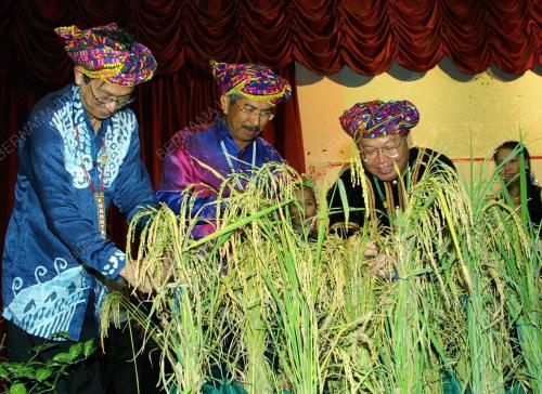 SB01_08022024_PESTA_KAAMATAN