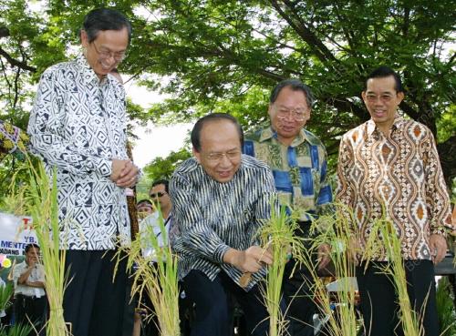 RAIS YATIM