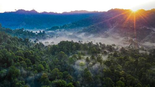 JABATAN PERHUTANAN SABAH