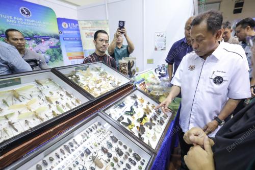 DATUK MOHAMMAD YUSOF APDAL