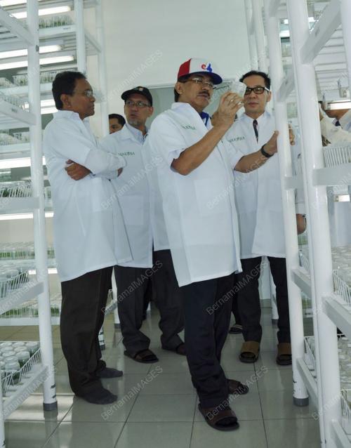 DATUK SERI MUSA AMAN