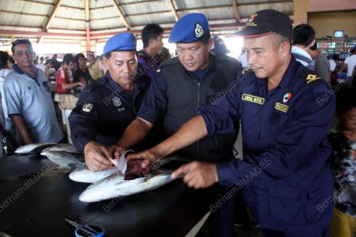 SB01_09122013_IKAN