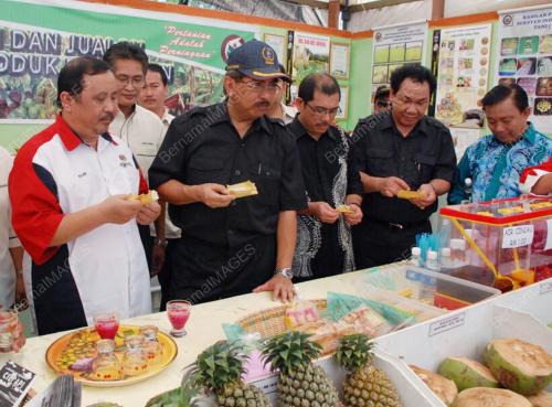 MUSA AMAN