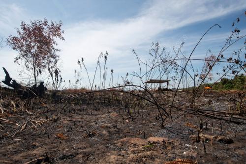 CUACA PANAS _KEBAKARAN HUTAN