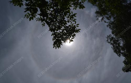 FENOMENA HALO MATAHARI