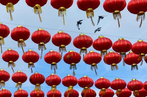 CHINESE NEW YEAR 2023