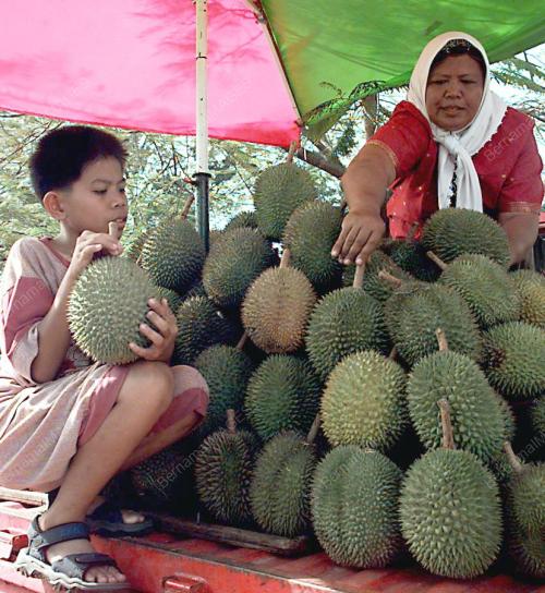 SB01_17022016_SUMBER_REZIKI