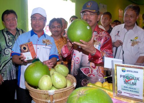 MUSA AMAN