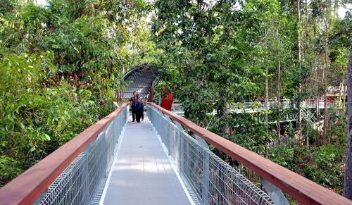 SB01_19052016_HUTAN