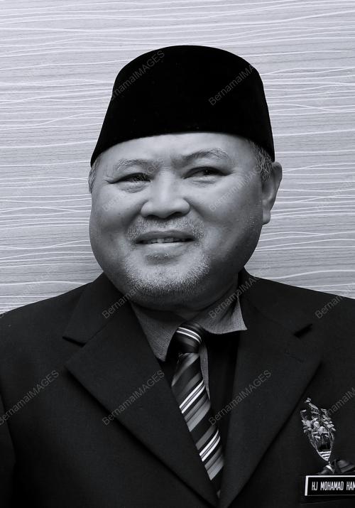 MOHAMAD HAMSAN AWANG SUPAIN