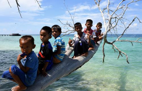 KANAK-KANAK PULAU TIGABO