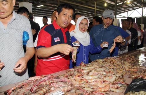 SB01_21012017_UDANG