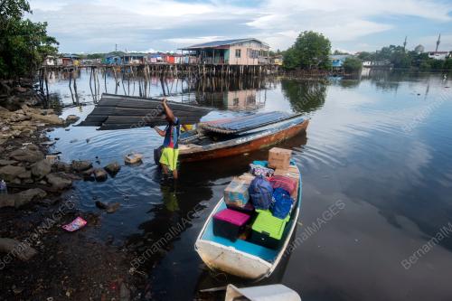 PENEMPATAN SETINGGAN SAGUKING GERSIK