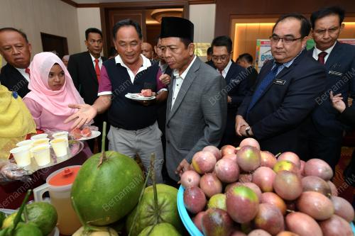SB01_23042019_DAUD_TANI