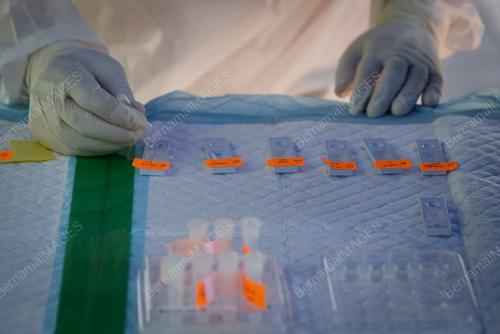 COVID-19 RTK ANTIGEN