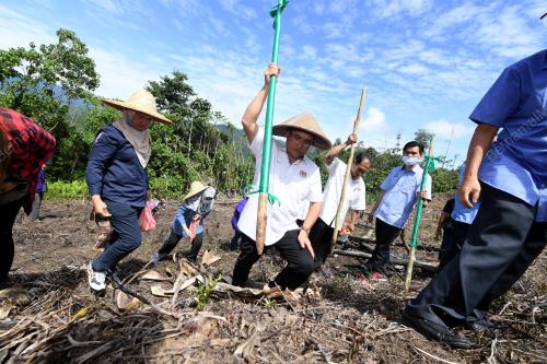 BANTUAN PETANI PADI BUKIT