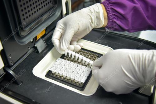 SB01_23082021_PCR_LAB