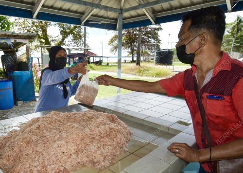 UDANG GERAGAU