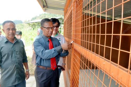 SB01_24032016_KITAR_SEMULA