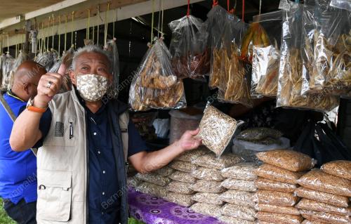 DATUK SERI BUNG MOKTAR RADIN