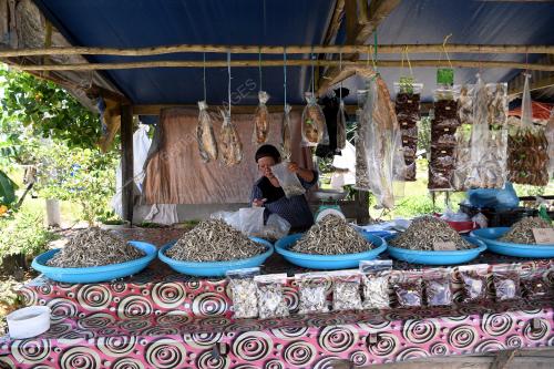 SB01_24042018_IKAN_BILIS