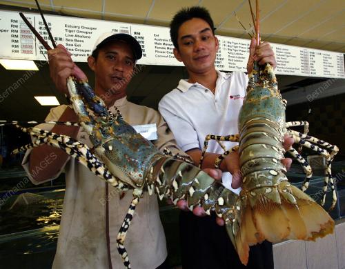 RAJA UDANG SABAH