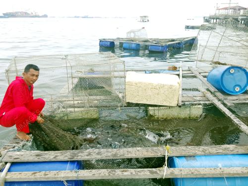 SB01_25032016_FISH_CAGE