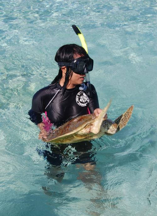 EKSPEDISI PULAU SIPADAN