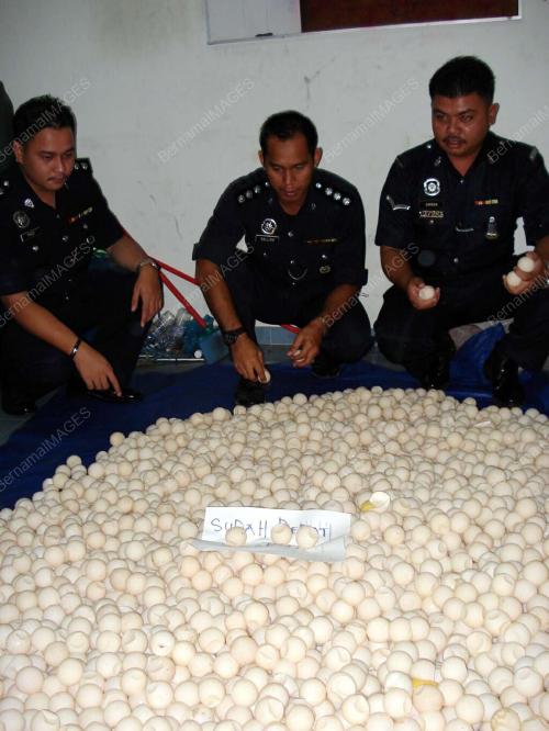 ASP SALLAM SPAWI