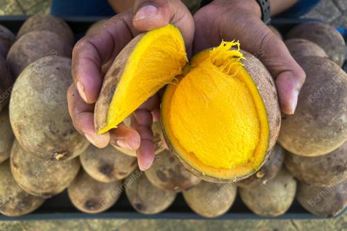 BUAH EKSOTIK_BUAH BAMBANGAN