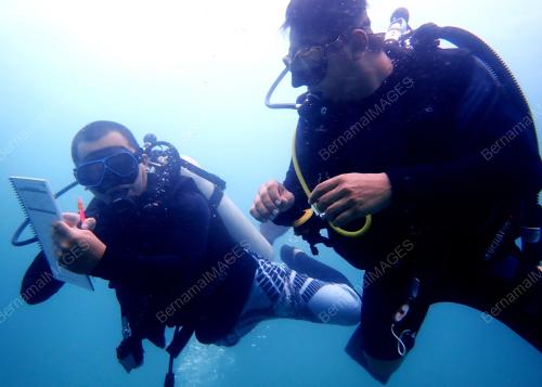 SB01_27082019_TAMAN_LAUT