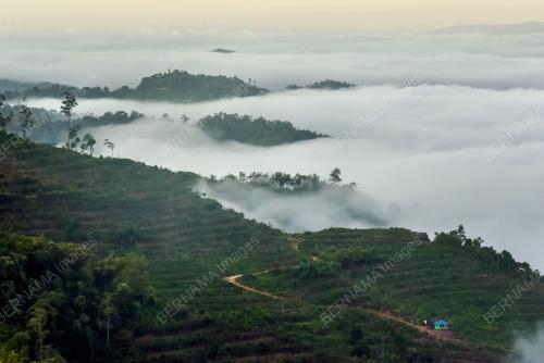 TAMBUNAN_SABAH