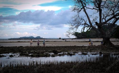 PENCARI KEPAH 'KERAKAS' DI LABUAN