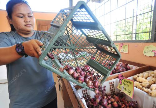 HARGA BAWANG MERAH NAIK