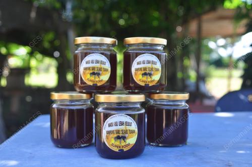 SB01_29072019_MADU