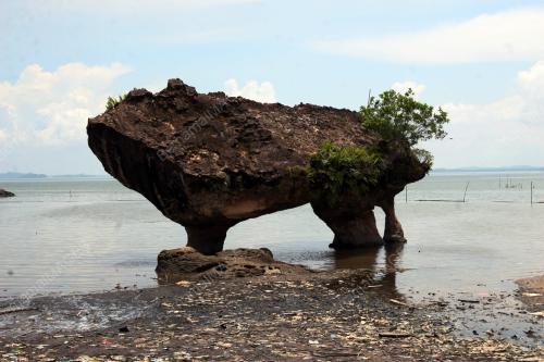 PILIHAN RAYA KECIL KAWASAN BATU SAPI