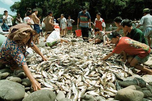 SB02-24_07_2000_PESTA_IKAN_11012016