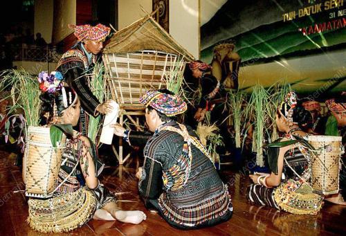 SB02-31_05_2000_MAGAVAU_PADI_07012016