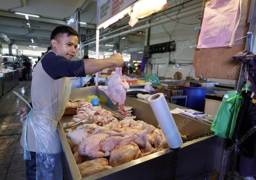 AYAM PASAR BESAR KOTA KINABALU