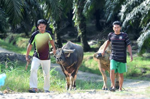 SB02_03022013_OPS_DAULAT