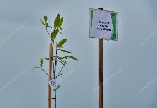 1JUTA_POKOK